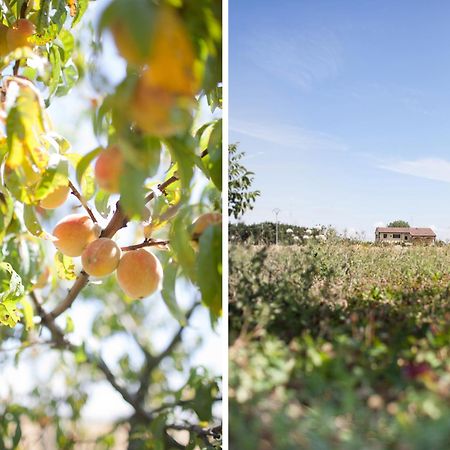 Agriturismo Il Mondo Guest House Parma Bagian luar foto