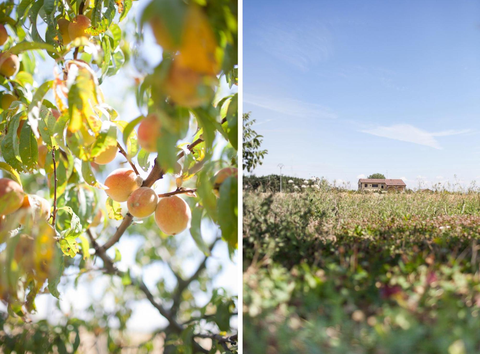 Agriturismo Il Mondo Guest House Parma Bagian luar foto